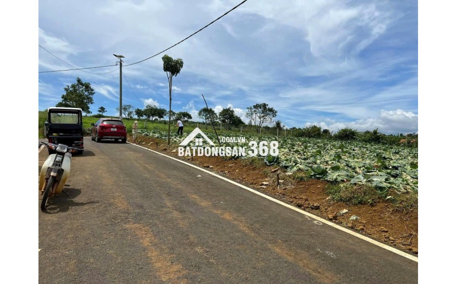 [HOT] Duy nhất còn 1 lô tại NaLi Chill - Homestay and BBQ giá bán chỉ 850TR